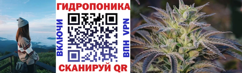 Канабис семена  купить   Дятьково 
